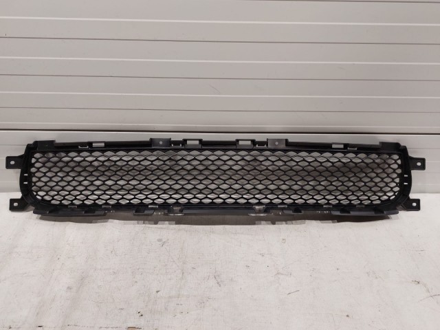 Lower Grille